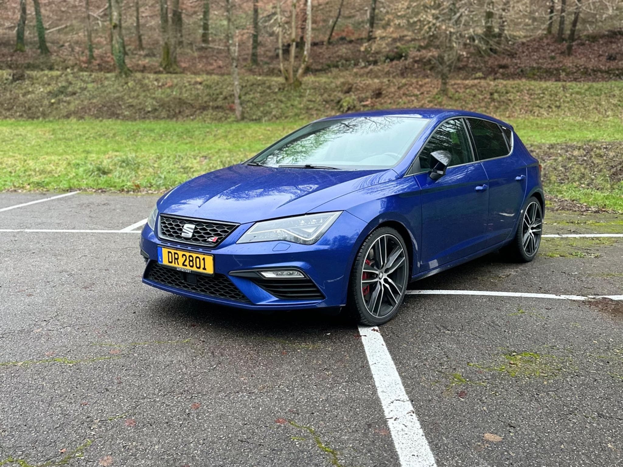 Seat Leon Cupra 300 (2017) - Foto 1