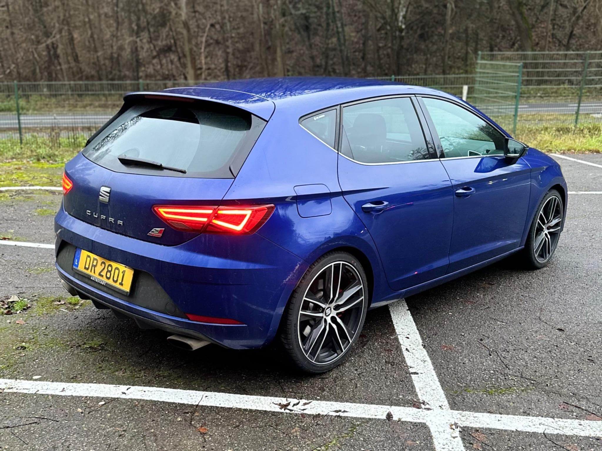 Seat Leon Cupra 300 (2017) - Foto 2