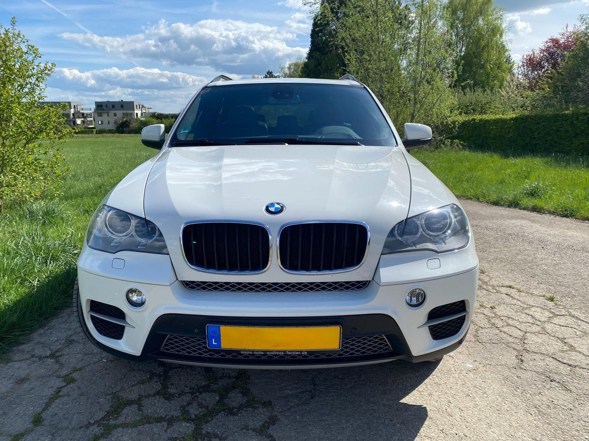 BMW X5 X5 xDrive30d (2012) - Photo 2