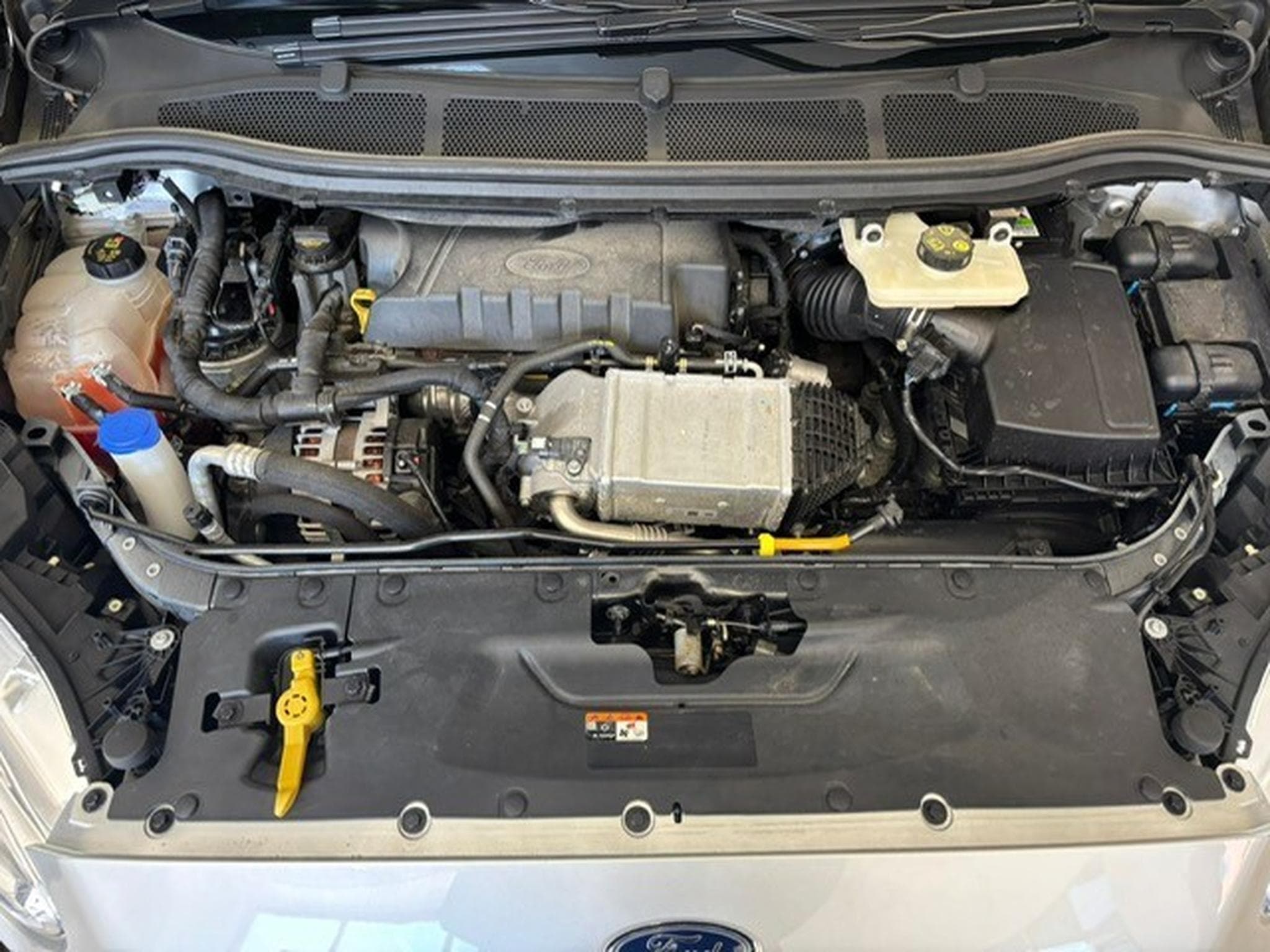 Ford Galaxy Titanium 7-Sitzer (2020) - Foto 15