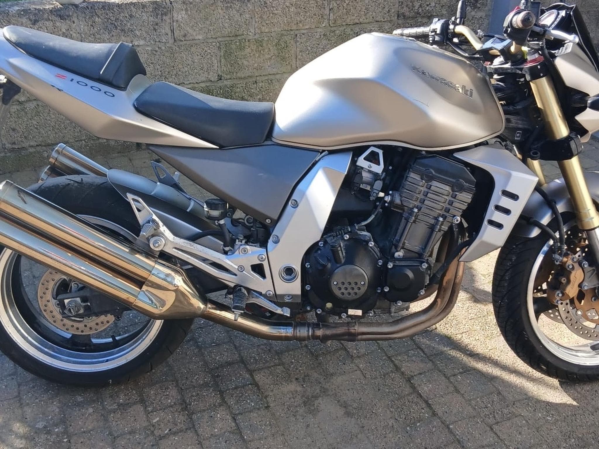 Kawasaki Z1000 SX (2005) - Photo 1