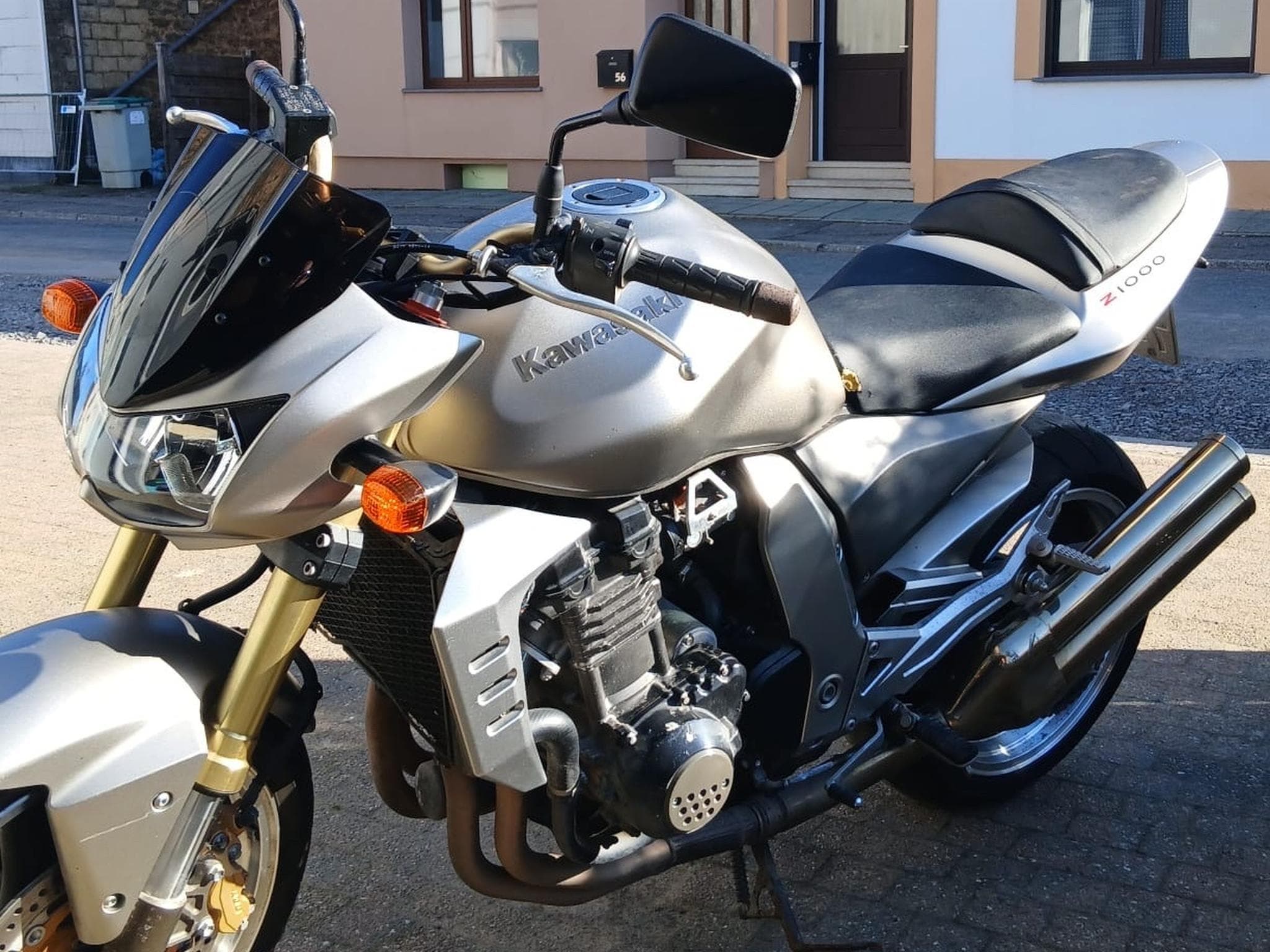 Kawasaki Z1000 SX (2005) - Photo 2