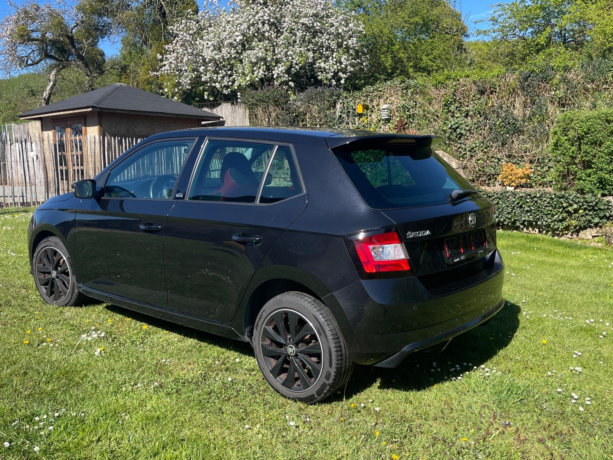 Skoda Fabia Monte Carlo (2018) - Foto 3