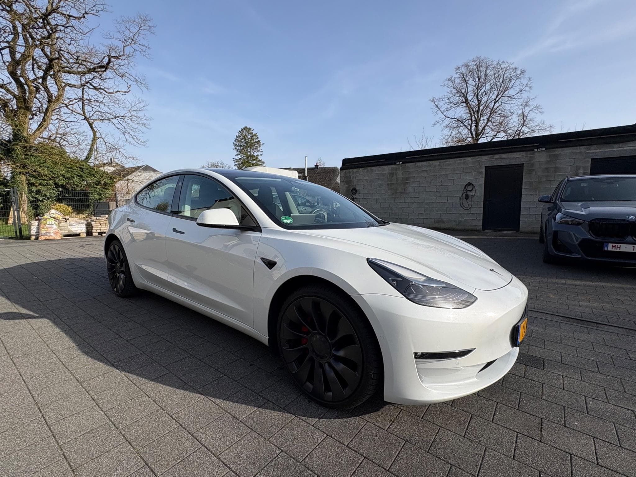 Tesla Model 3 Performance (2022) - Photo 3