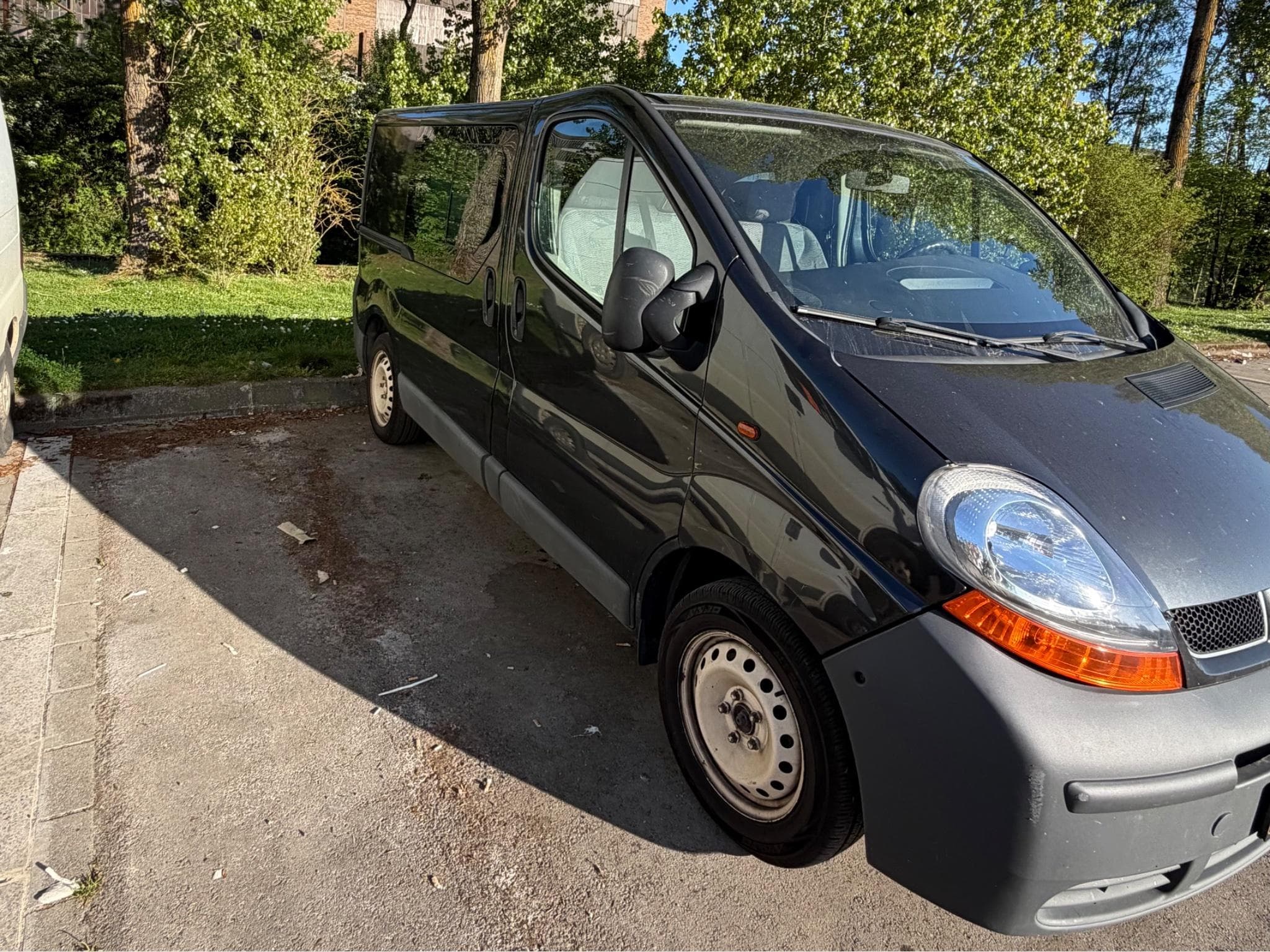 Renault Trafic (2006) - Photo 1