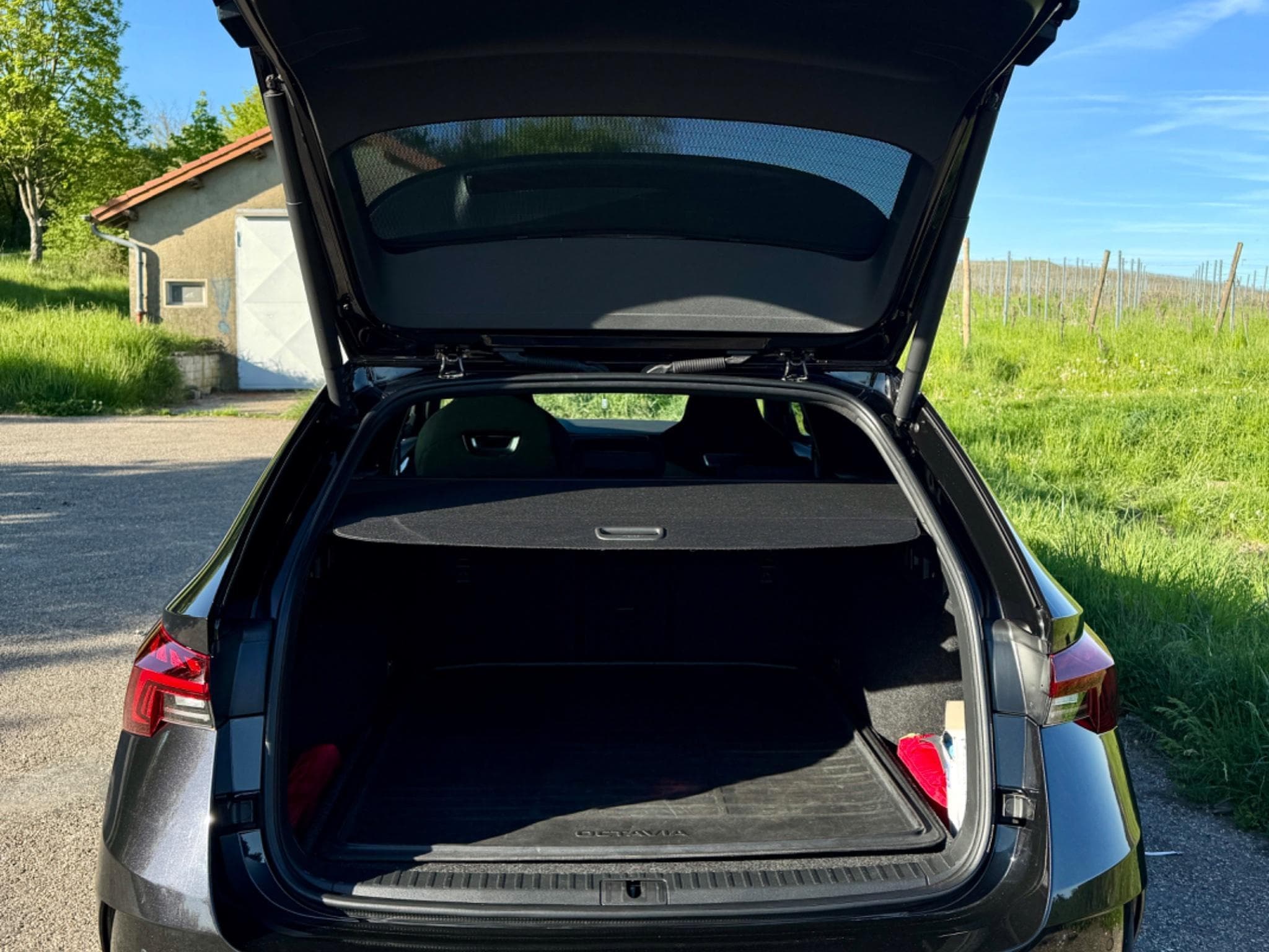 Skoda Octavia RS 2.0 TDI 4x4 DSG (2022) - Photo 10