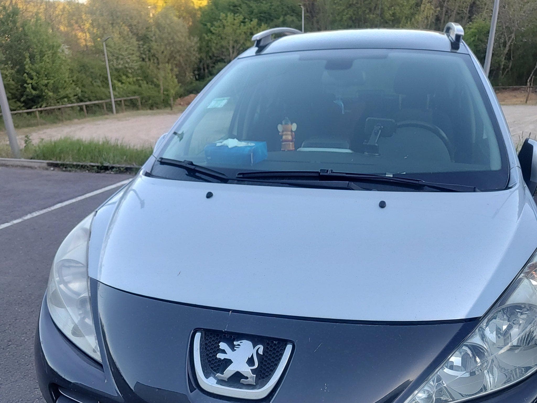 Peugeot 207 SW Sport-automatic (2010) - Photo 2