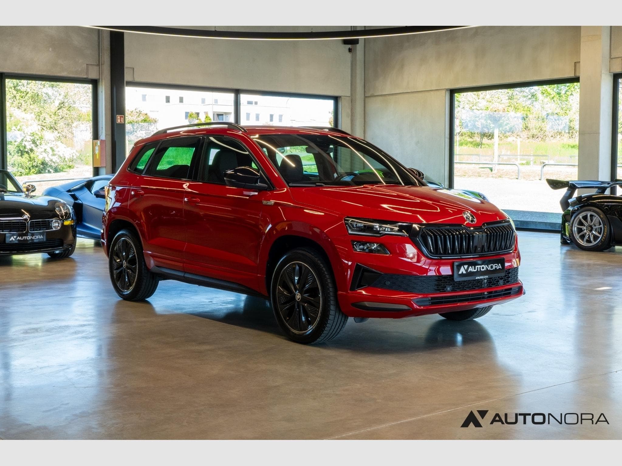 Skoda Karoq 2.0 TSI Sportline 4x4 (2023) - Photo 3