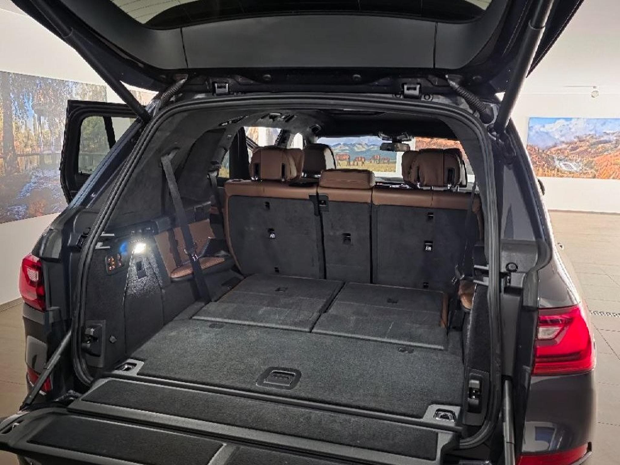 BMW X7 XDrive (2019) - Photo 3