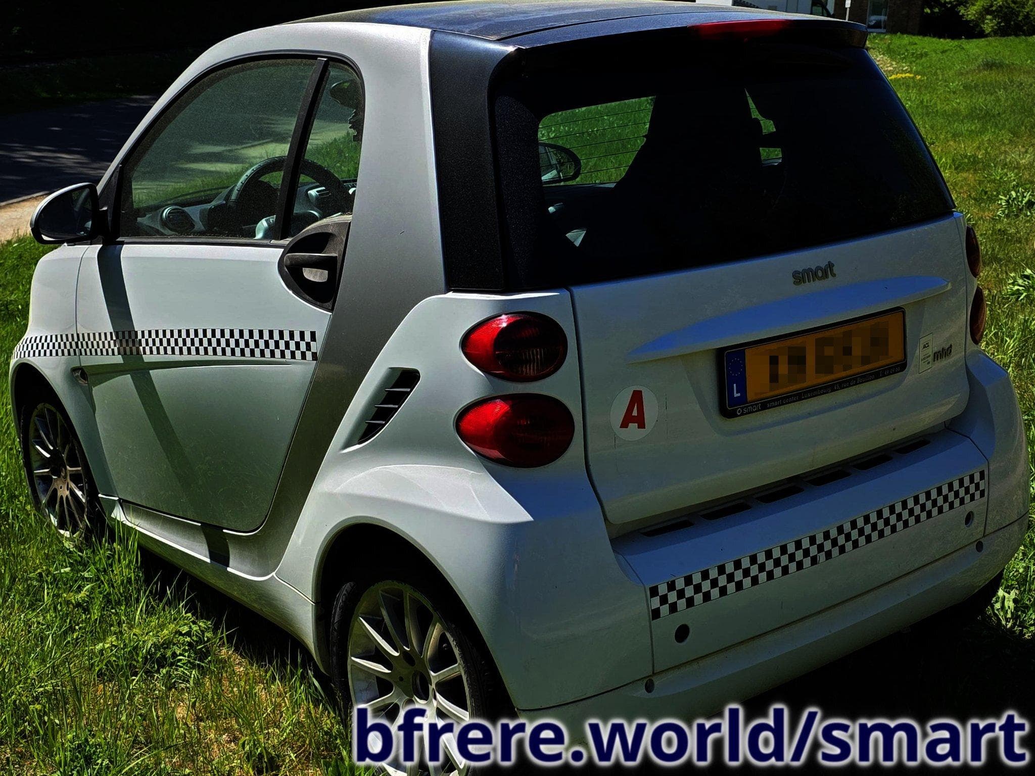 Smart Fortwo Série 452, var. 43RAF0, vers. QZAAA200 (2010) - Photo 2