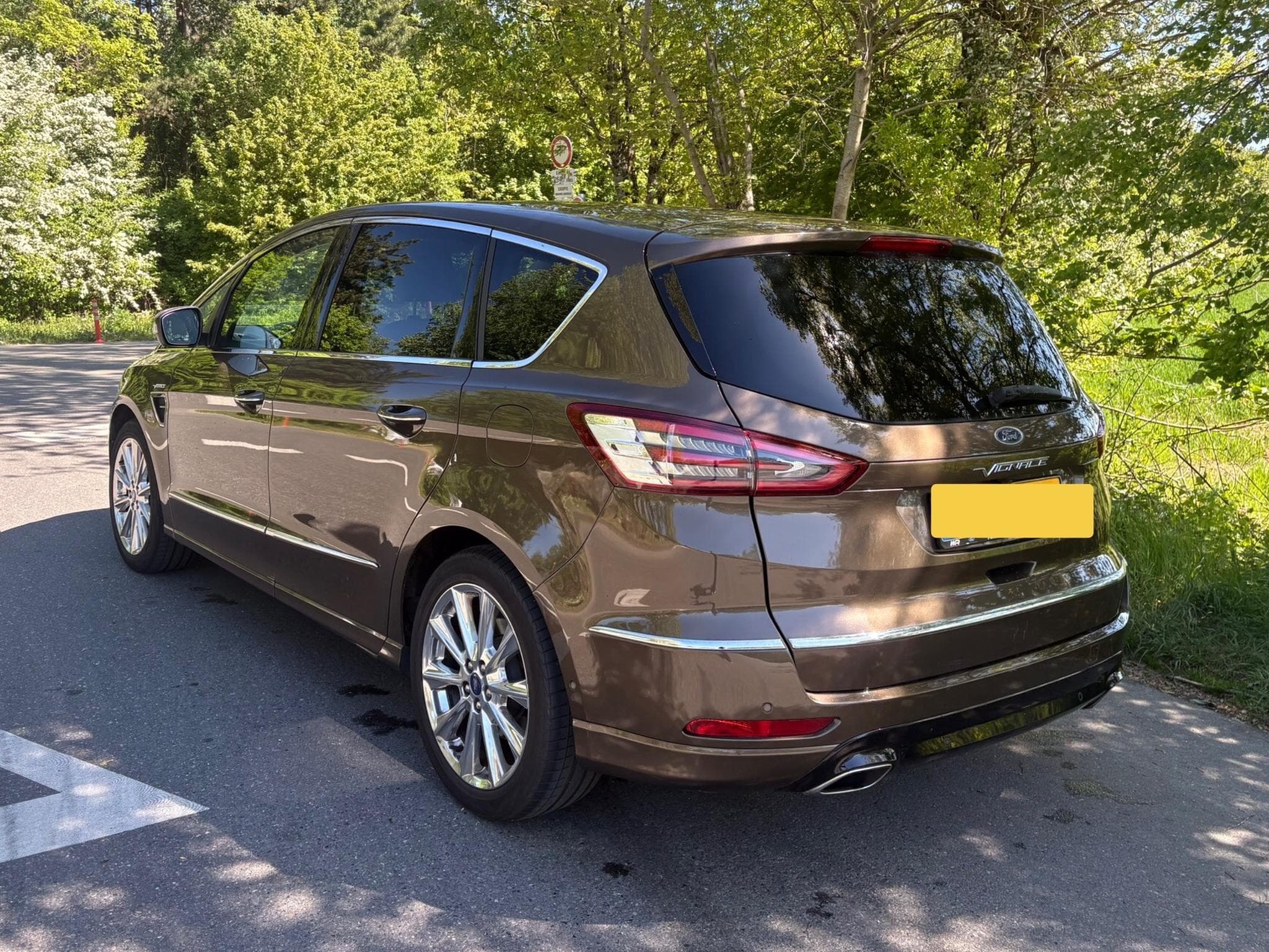 Ford S-Max Vignale (2017) - Foto 2