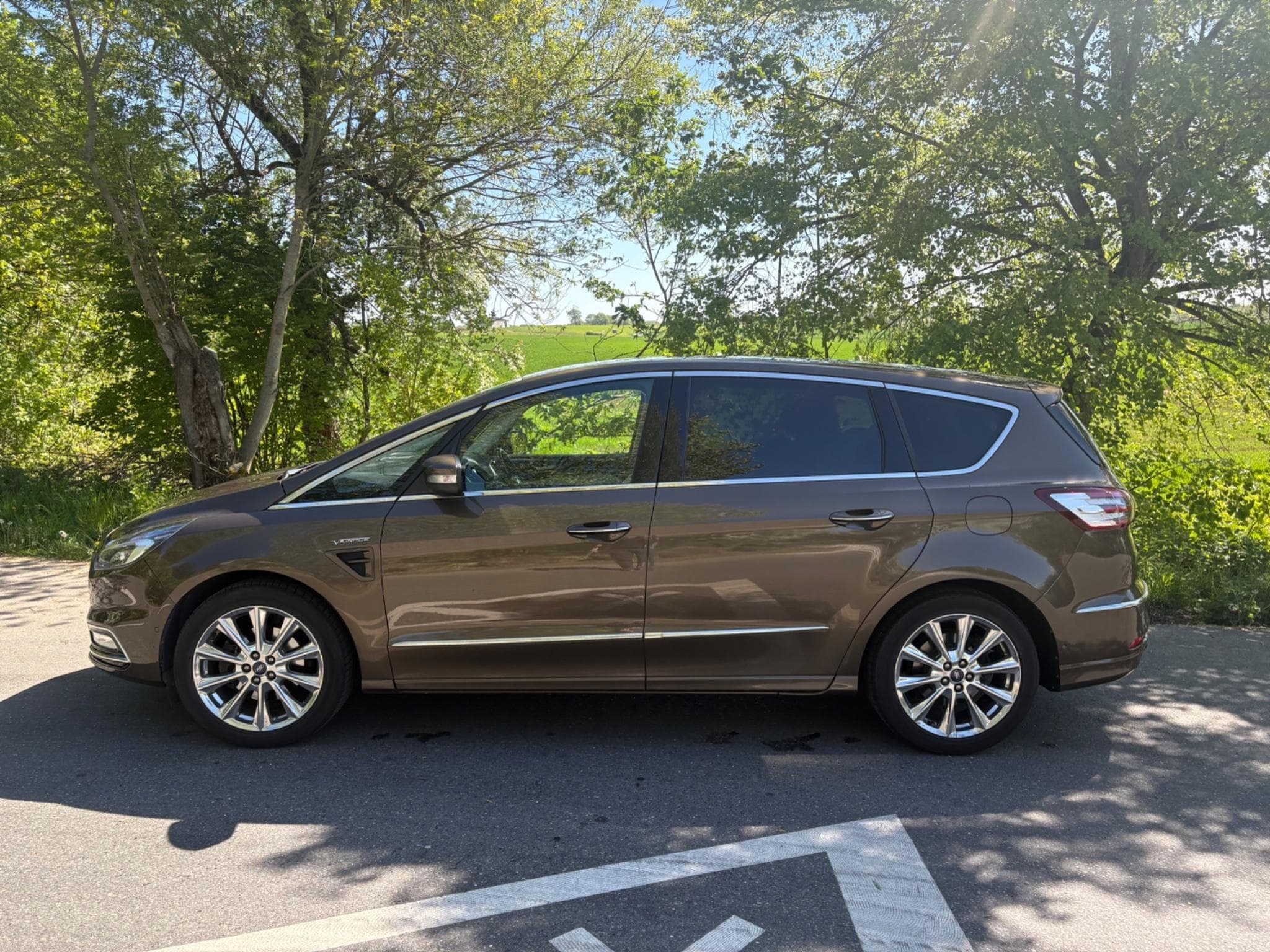 Ford S-Max Vignale (2017) - Foto 3