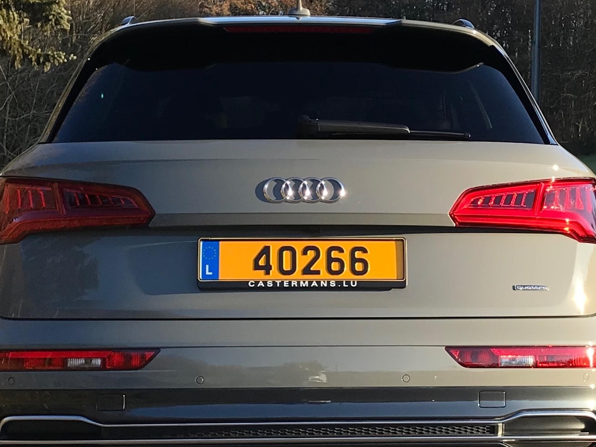 Audi Q5 S-Line (2018) - Photo 2