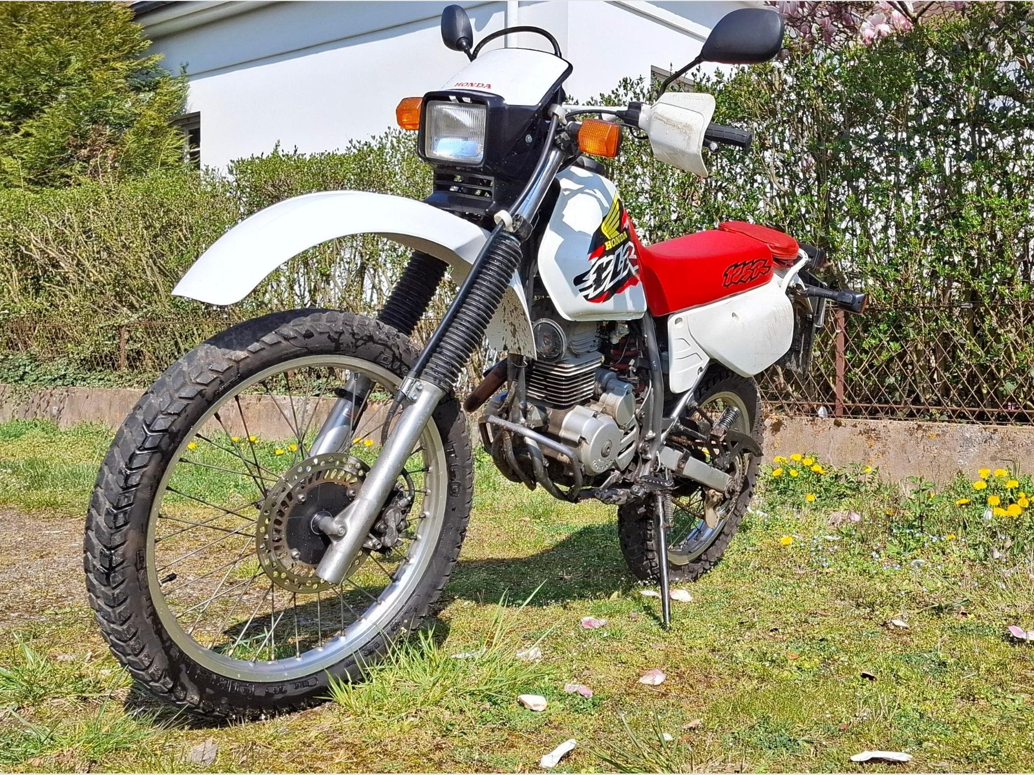 Honda XLR XLR125RW (1999) - Photo 3