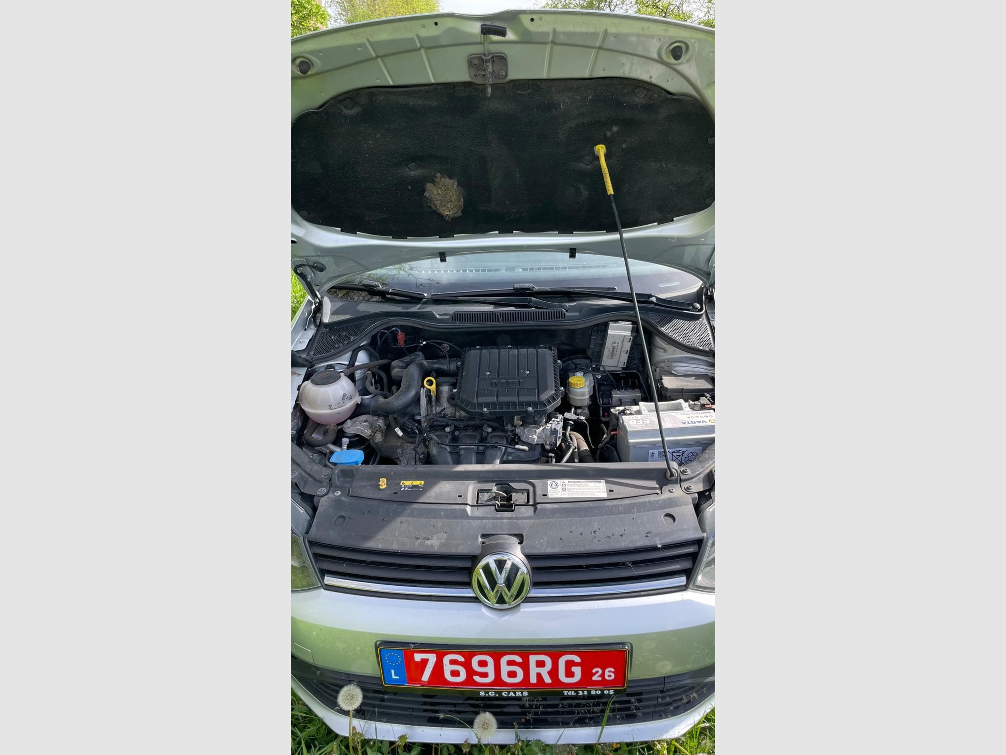VW Polo (2017) - Photo 7