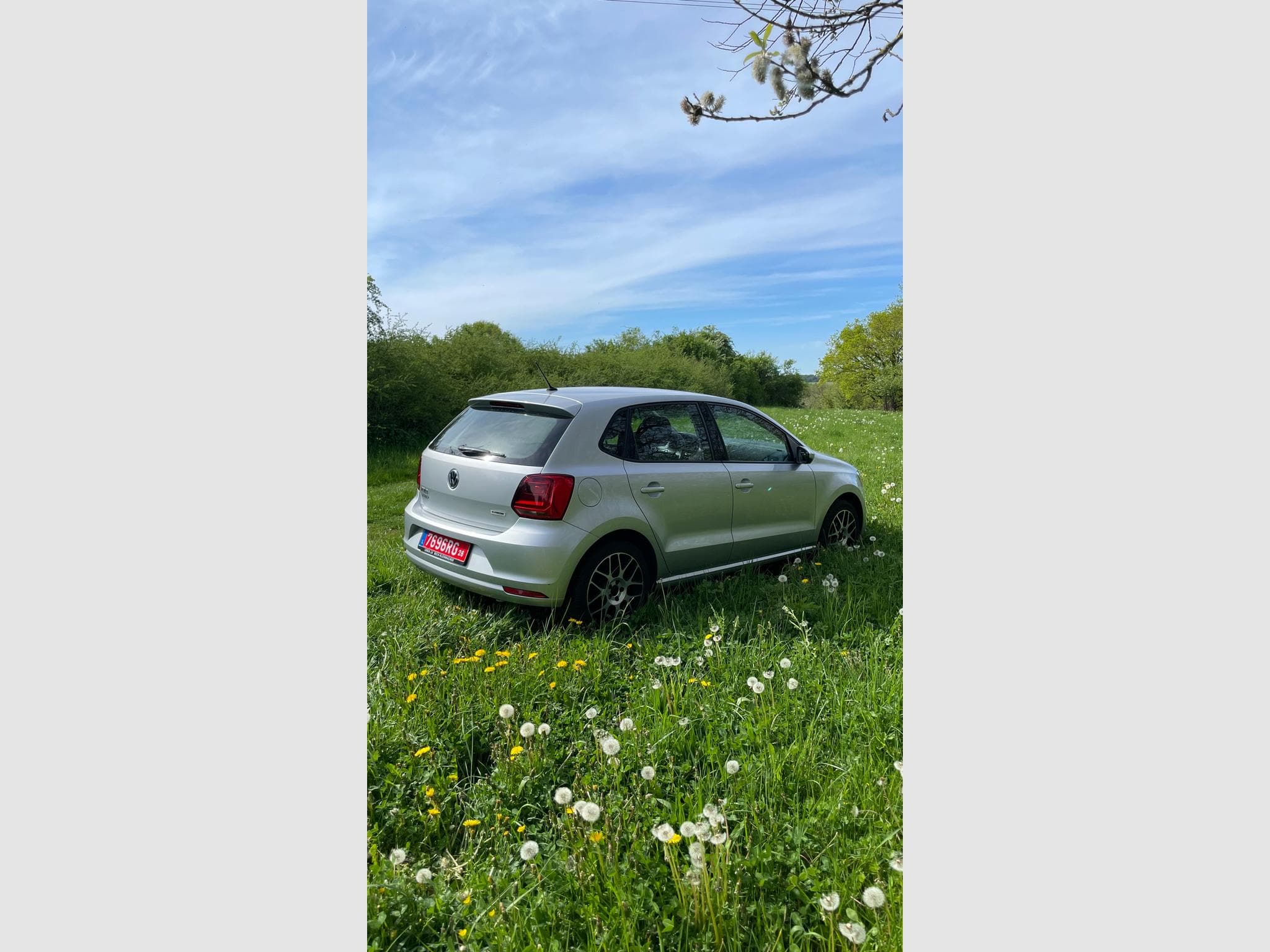 VW Polo (2017) - Photo 4