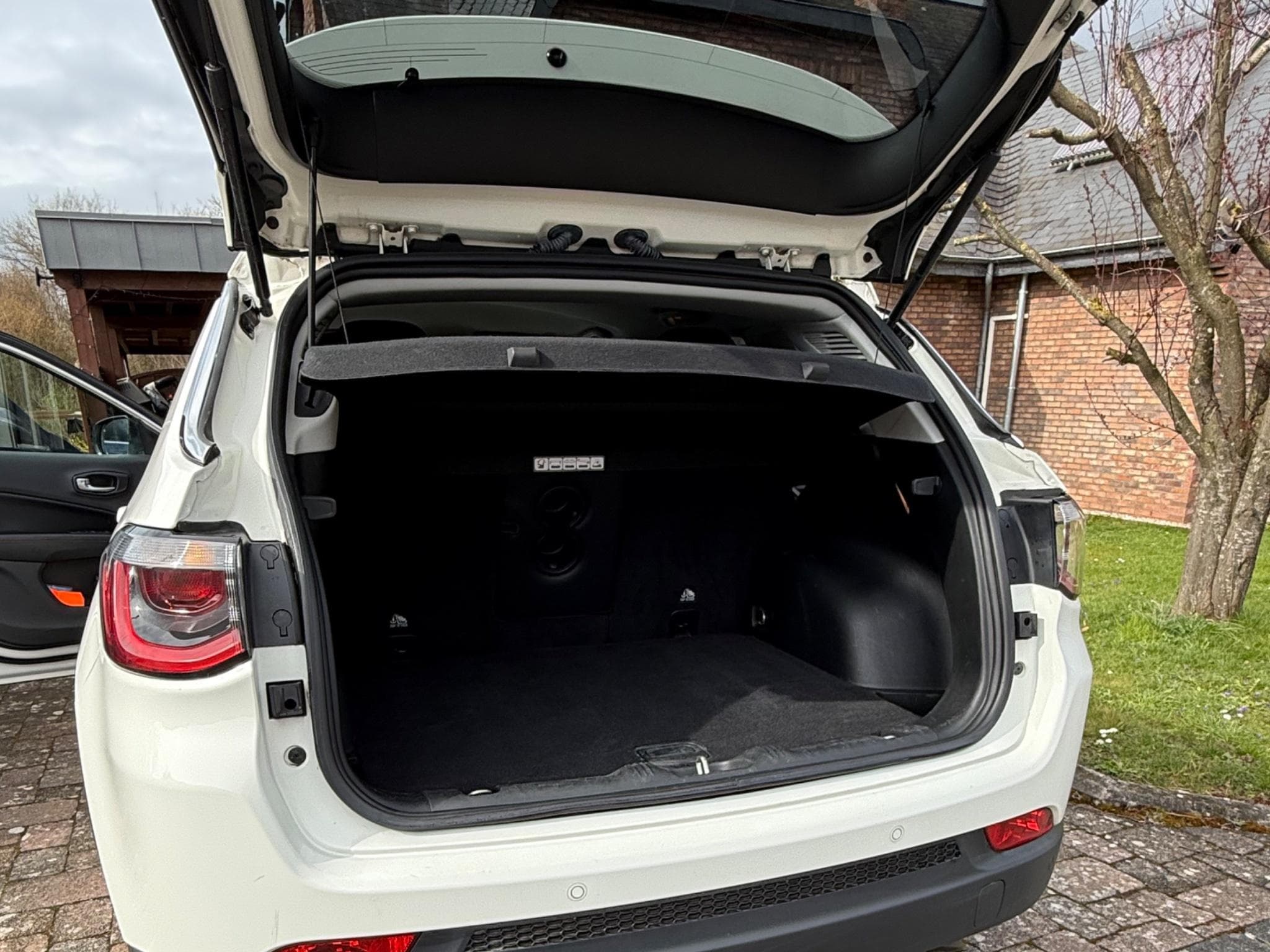 Jeep Compass Limited (2019) - Photo 8