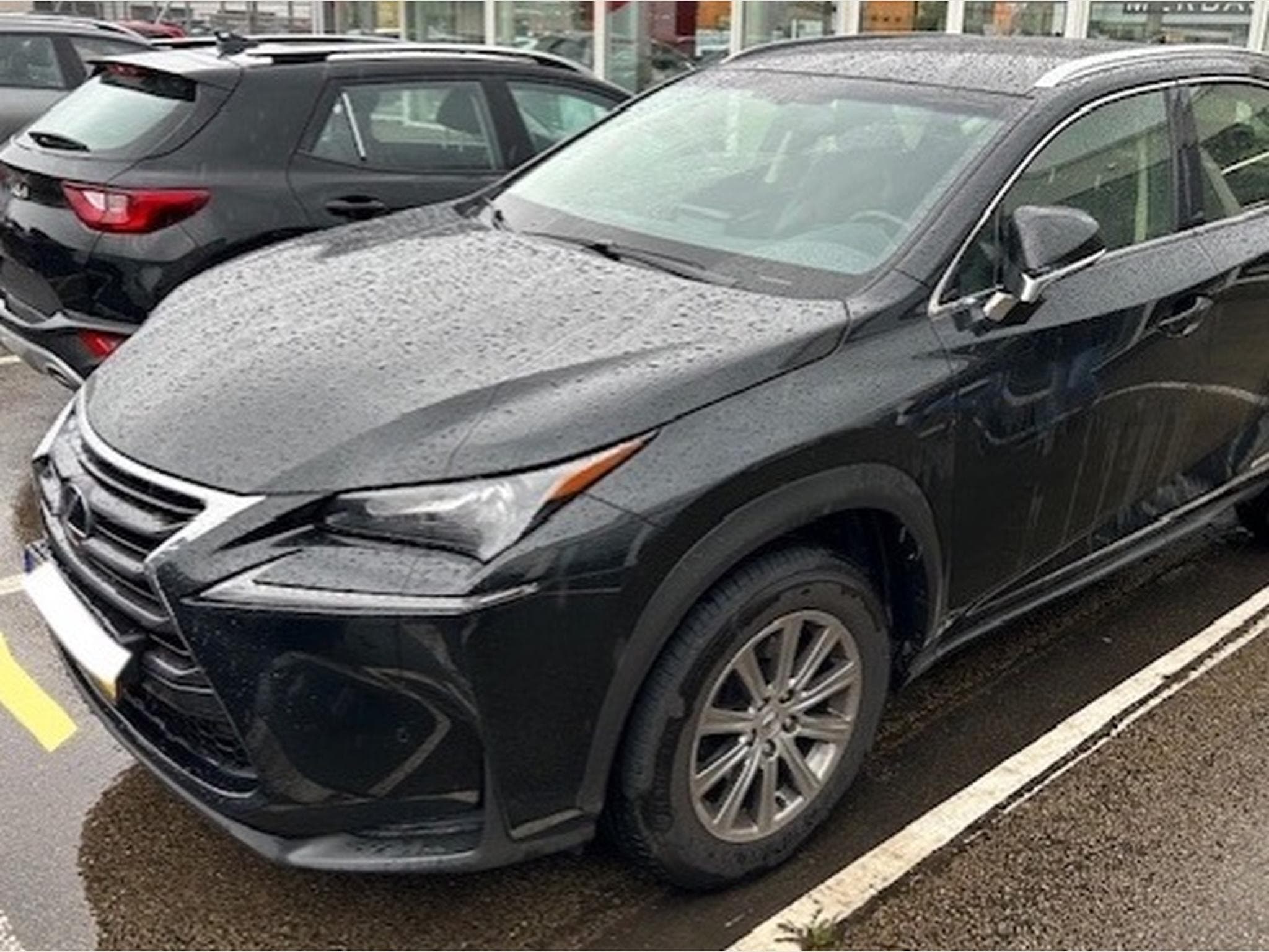Lexus NX NX300h (2017) - Photo 2