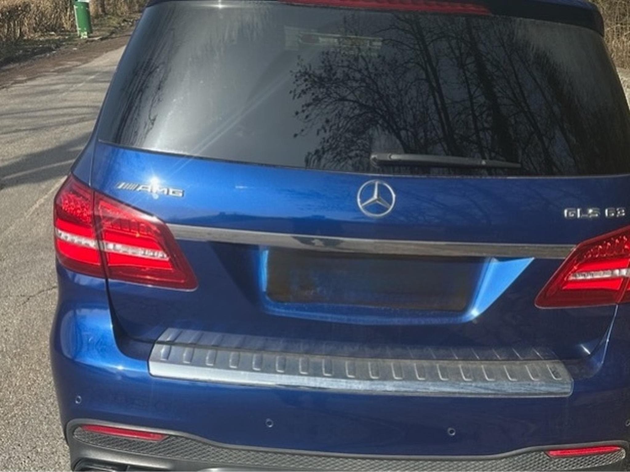 Mercedes GLS 63 AMG (2019) - Photo 5