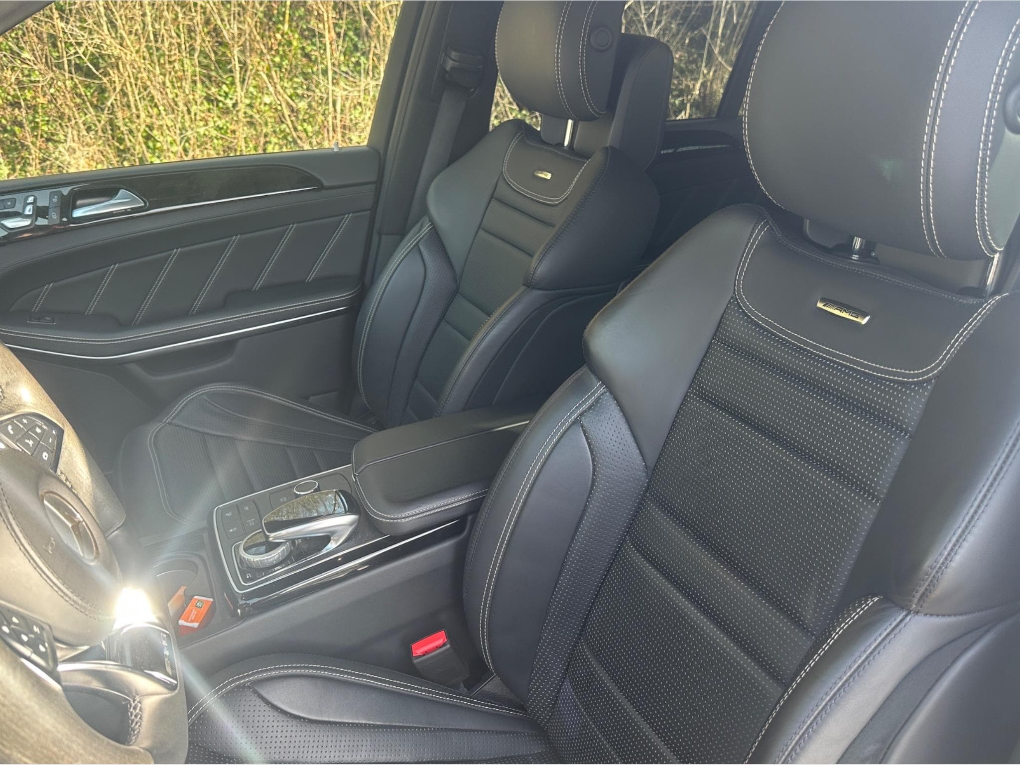 Mercedes GLS 63 AMG (2019) - Photo 8