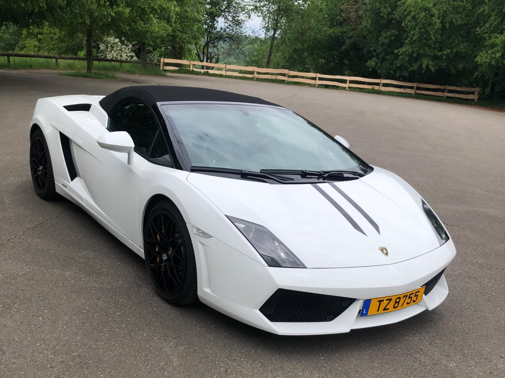 Lamborghini Gallardo LP 560-4 Spyder (2013) - Photo 2