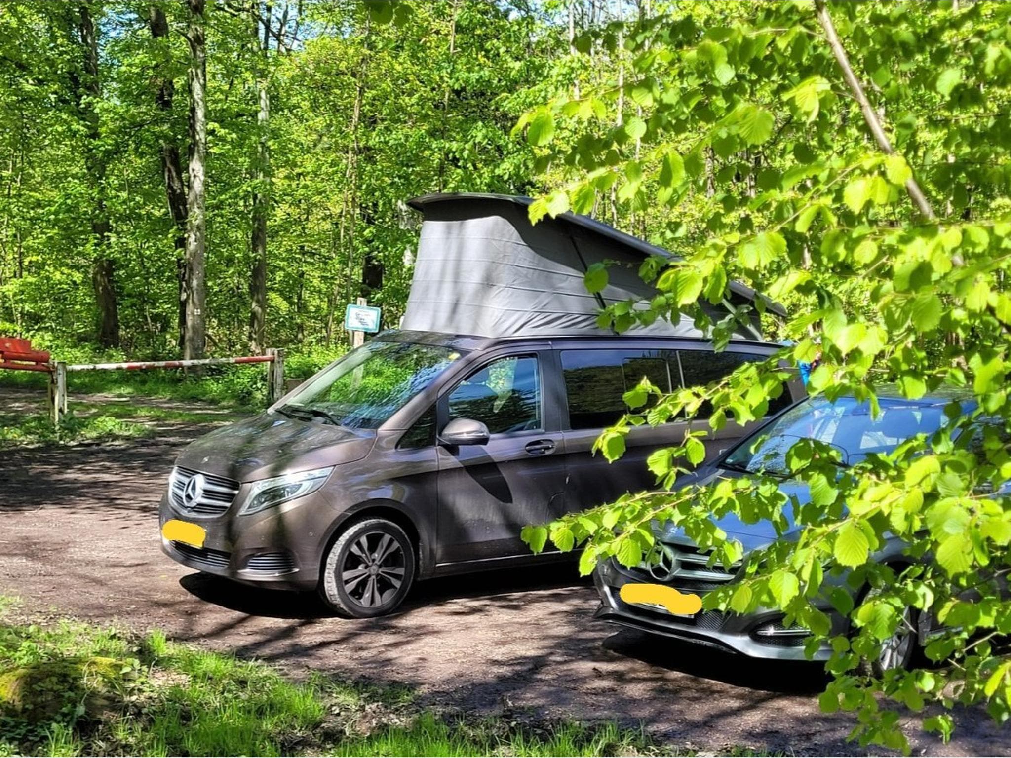 Mercedes Marco Polo (2017) - Photo 2