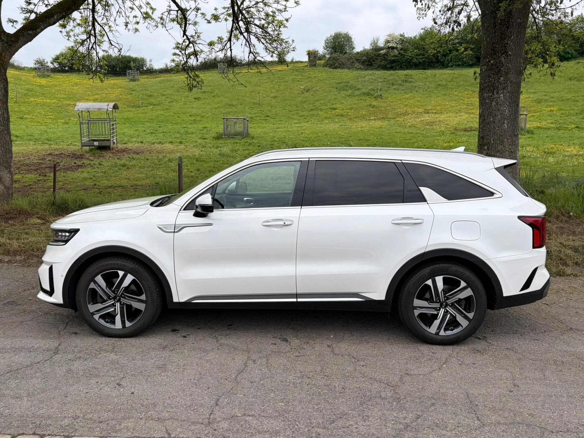 Kia Sorento (2020) - Photo 4