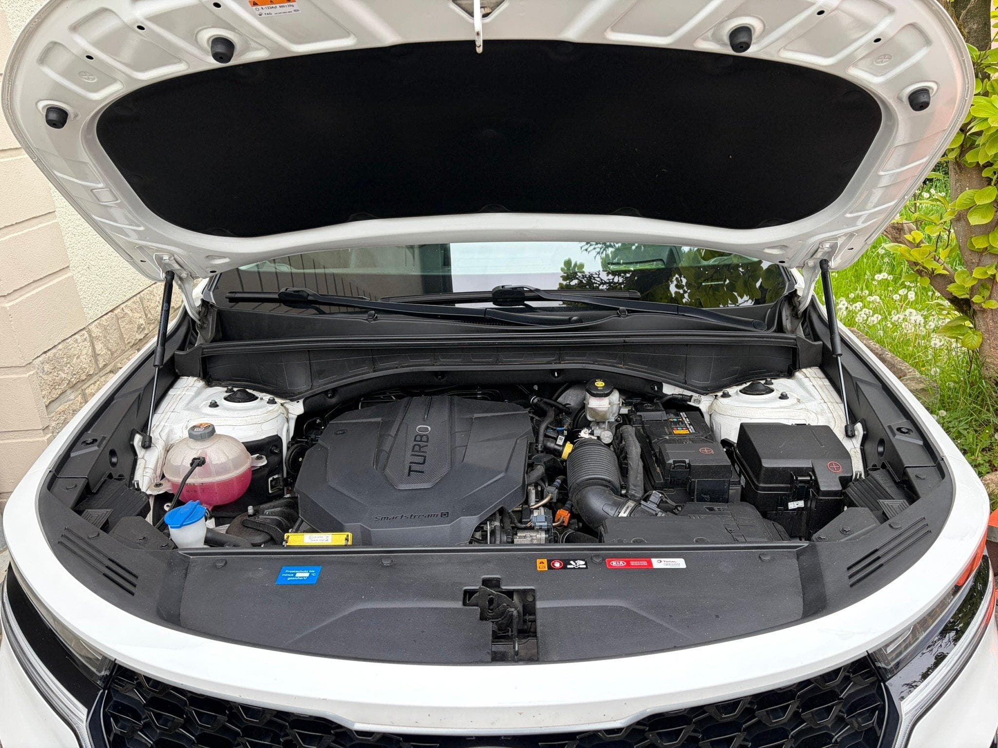 Kia Sorento (2020) - Photo 11
