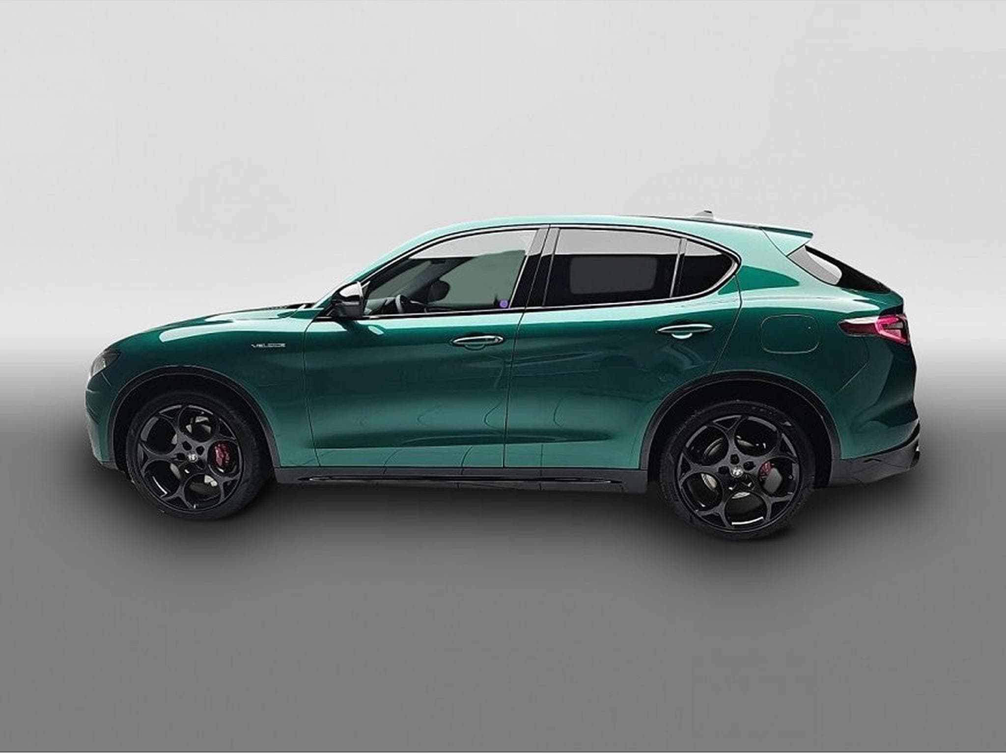 Alfa-Romeo Stelvio (2026) - Photo 4