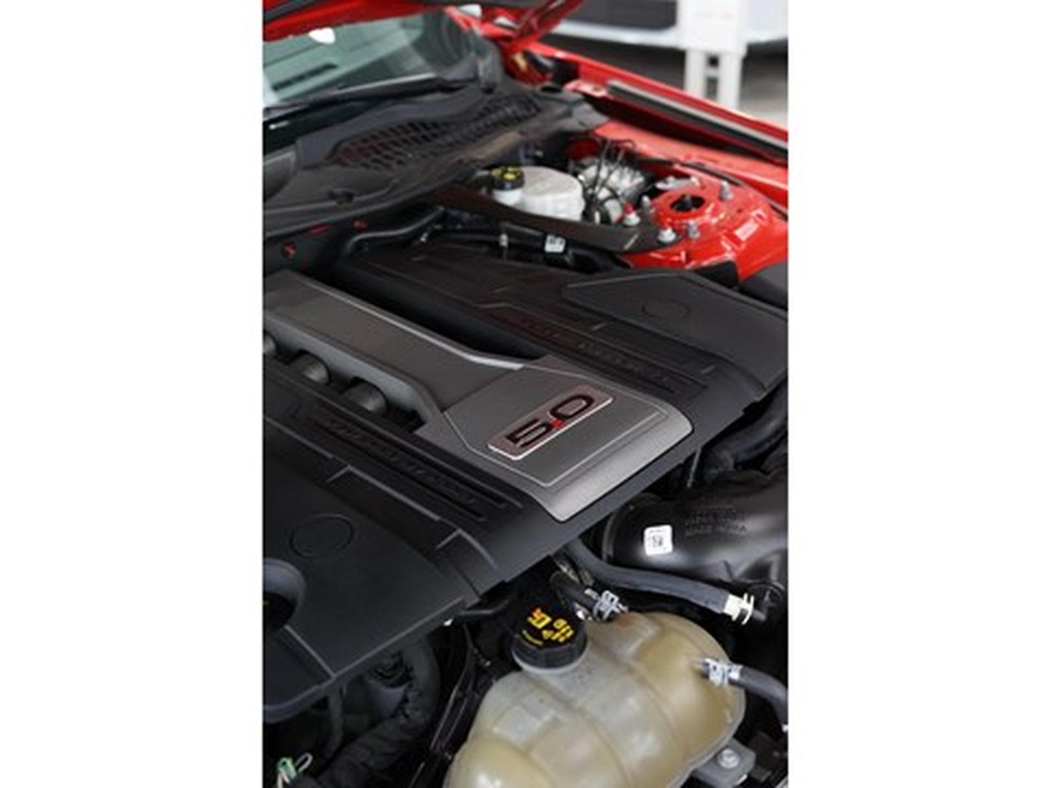 Ford Mustang 5.0Ti V8 GT Cabriolet A10 449cv (2020) - Foto 16