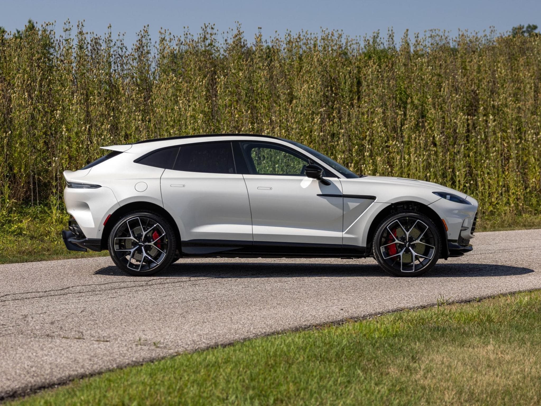 Aston-Martin DBX 707 (2025) - Photo 2