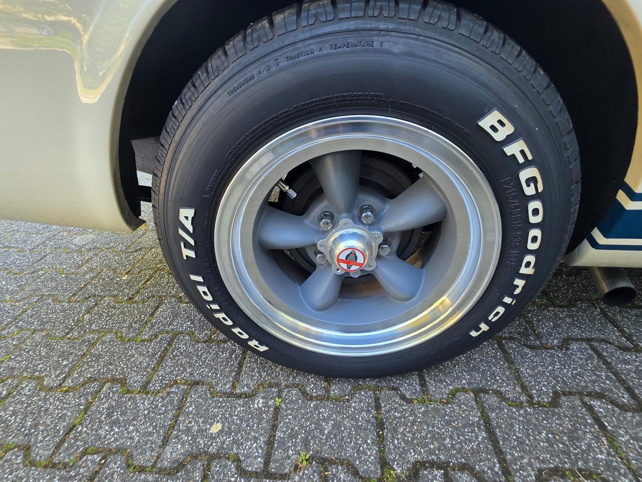 Ford Mustang Fastback GT350 Tribut 1965 (1970) - Foto 10
