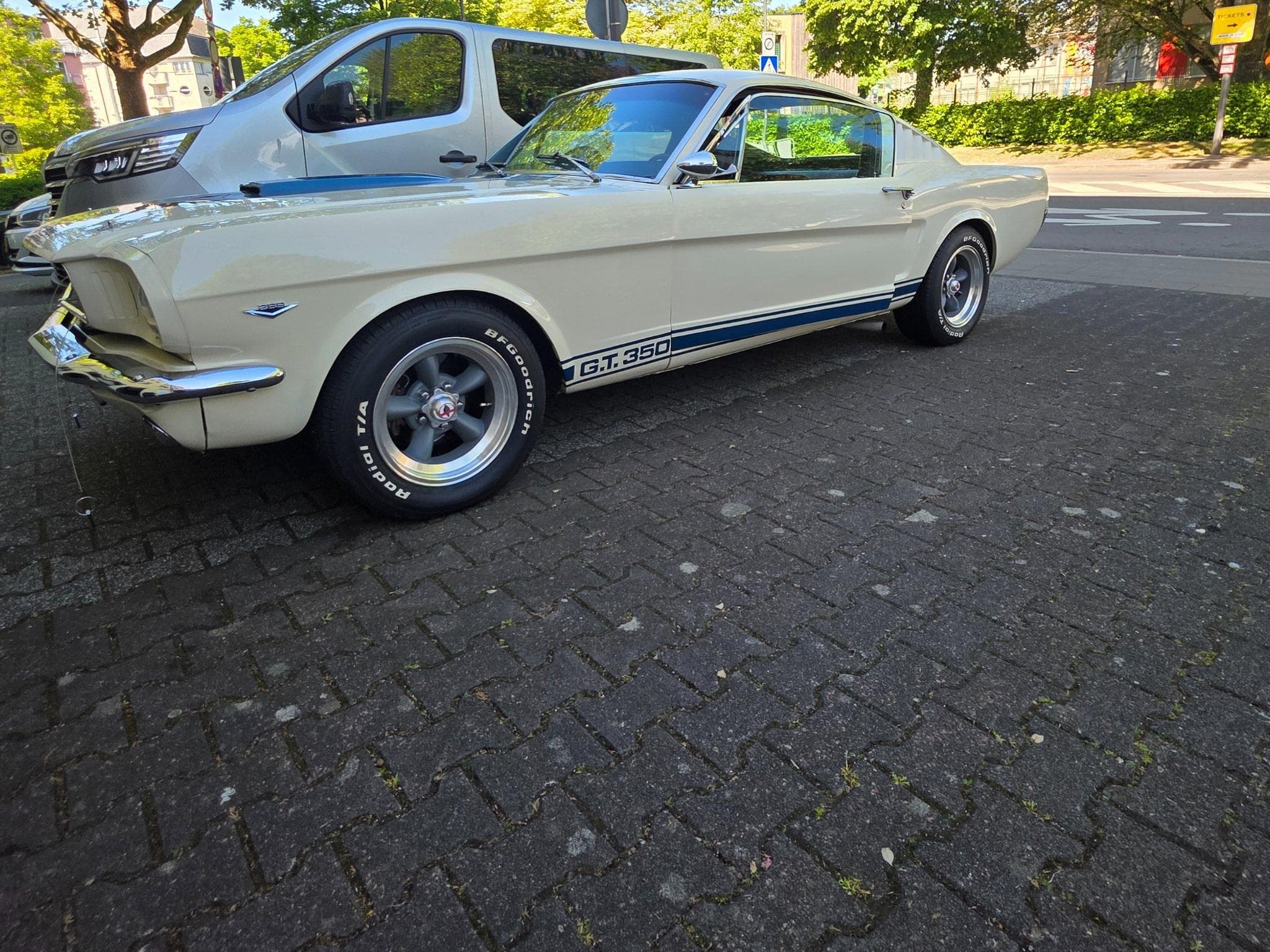 Ford Mustang Fastback GT350 Tribut 1965 (1970) - Foto 13