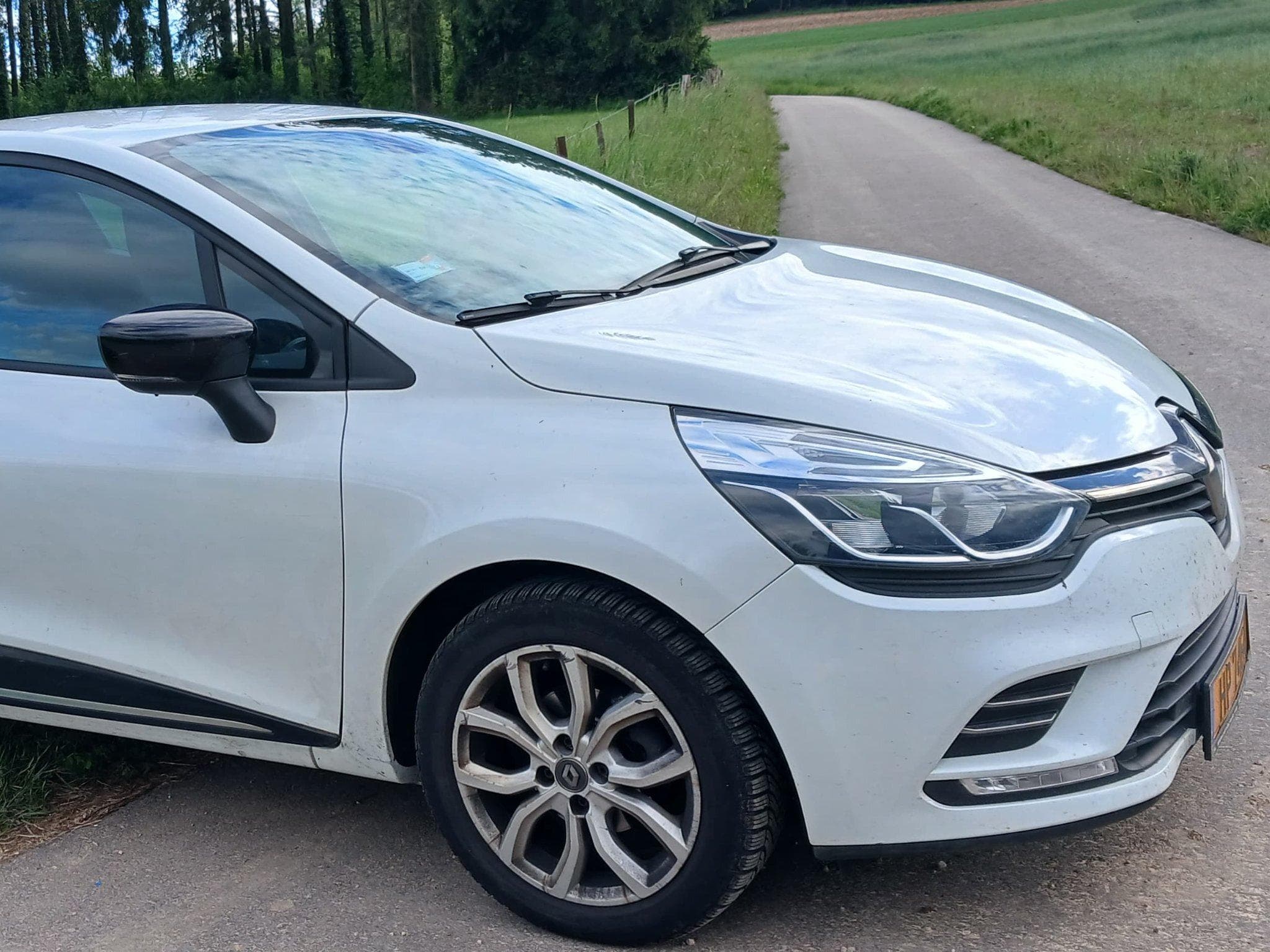 Renault Clio M1 (2019) - Photo 1