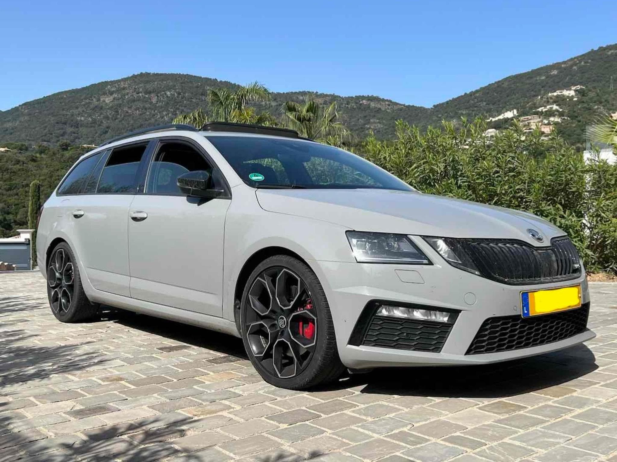 Skoda Octavia RS (2018) - Photo 1