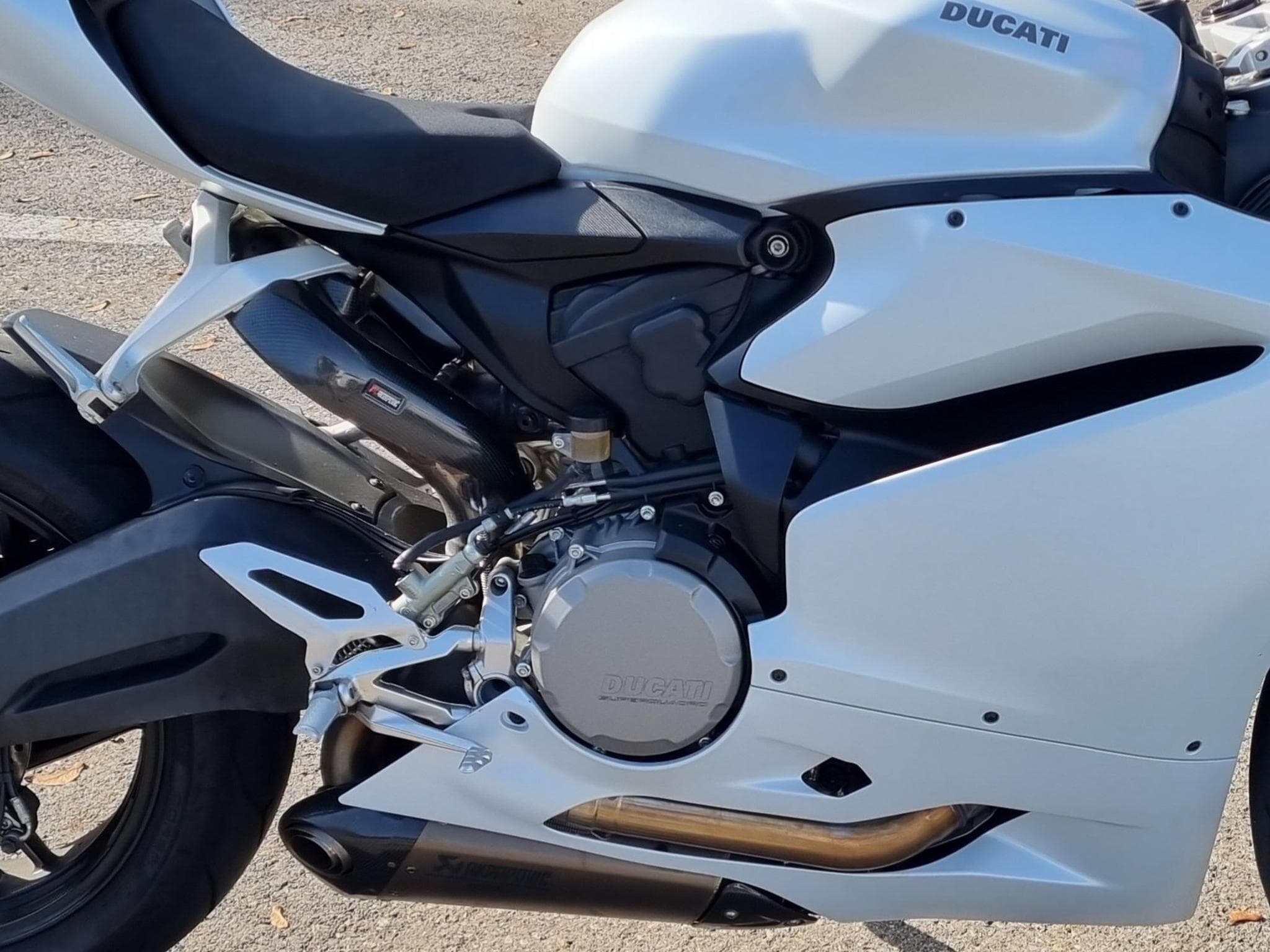 Ducati Panigale 959 (2018) - Photo 3