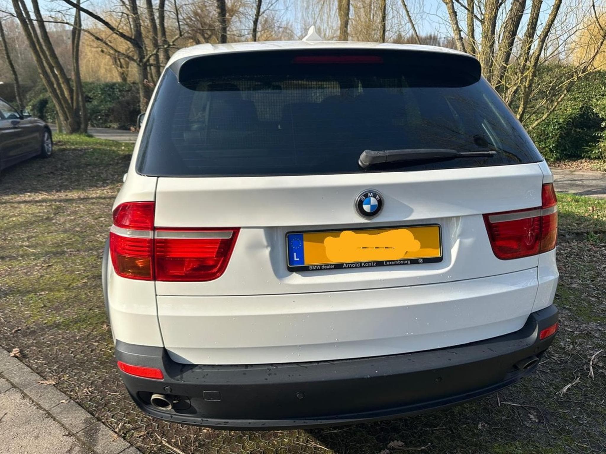 BMW X5 xDrive35d (2010) - Foto 1