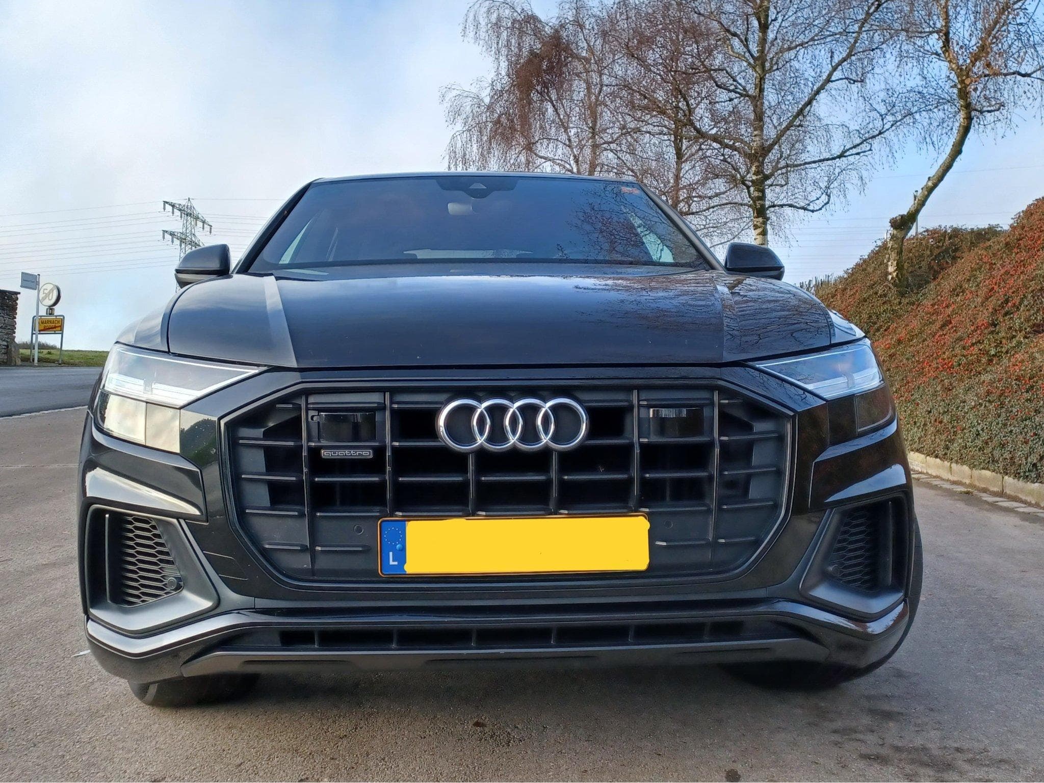 Audi Q8 S-LINE (2019) - Photo 2