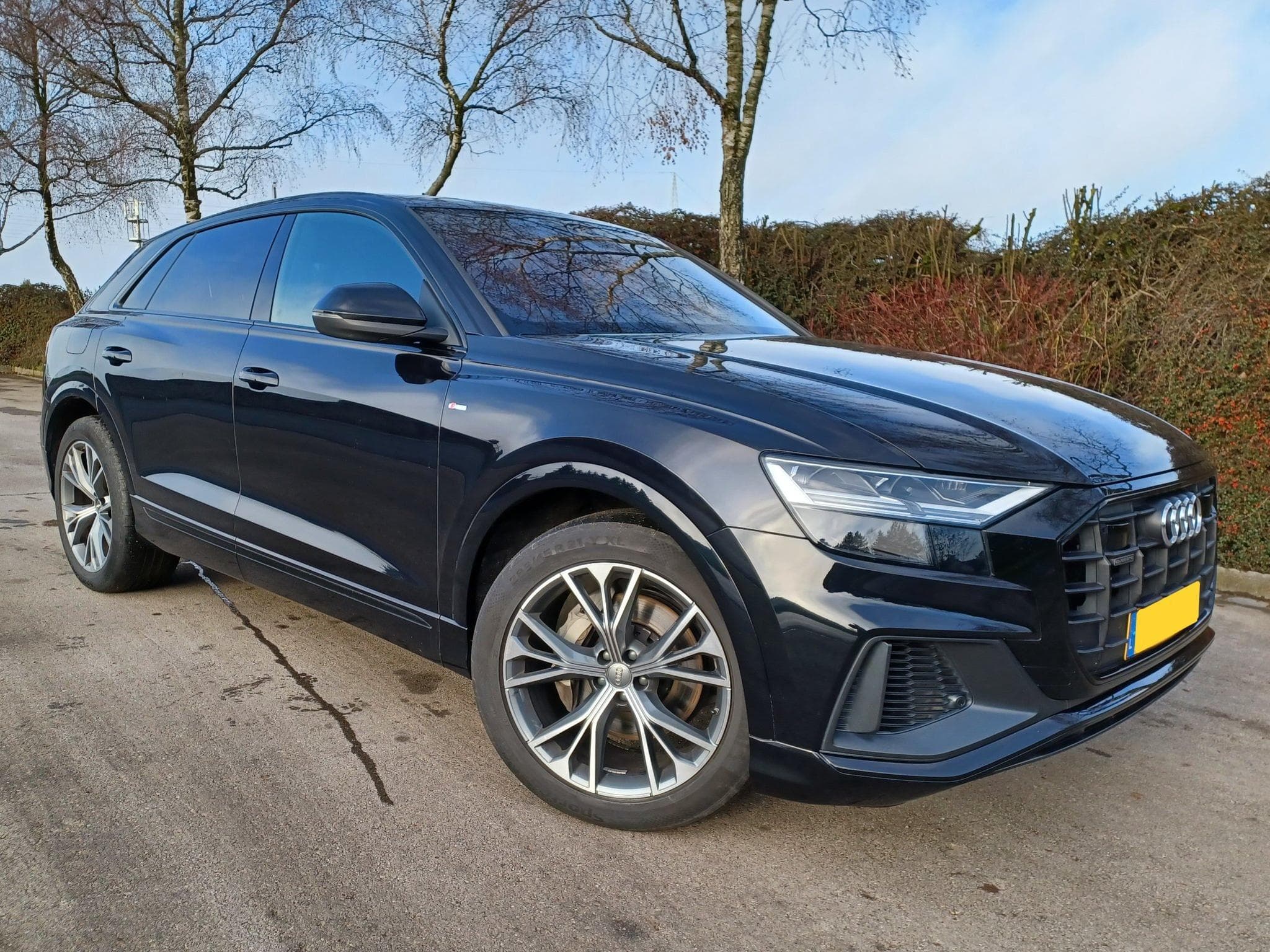 Audi Q8 S-LINE (2019) - Photo 3
