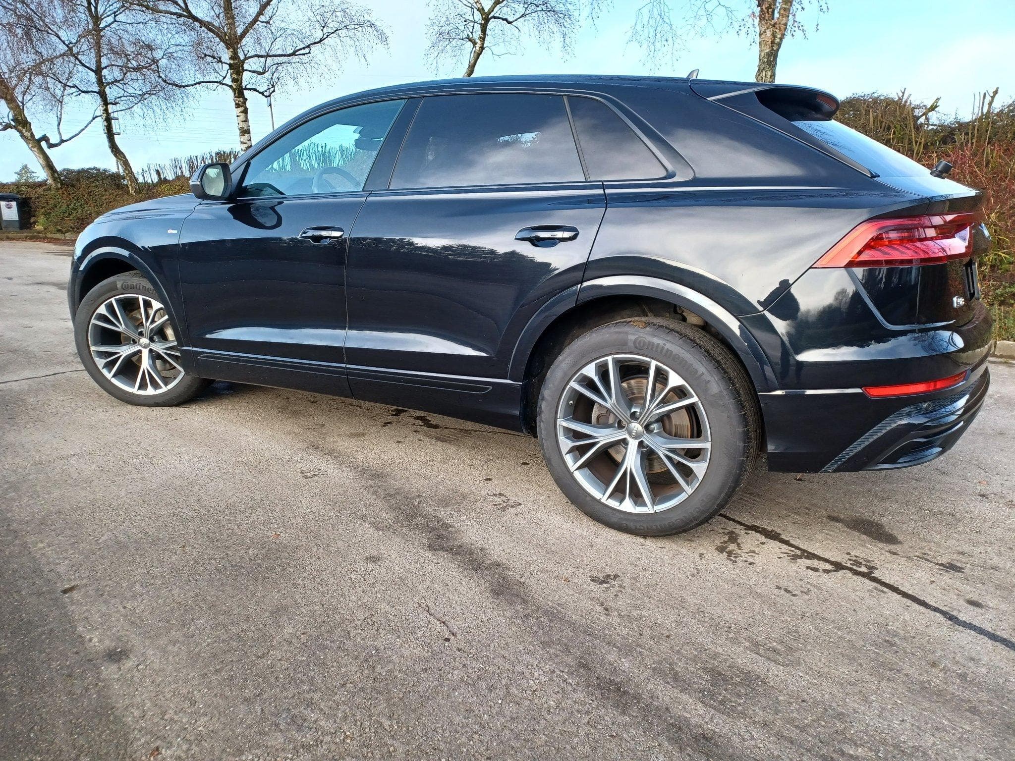 Audi Q8 S-LINE (2019) - Photo 15
