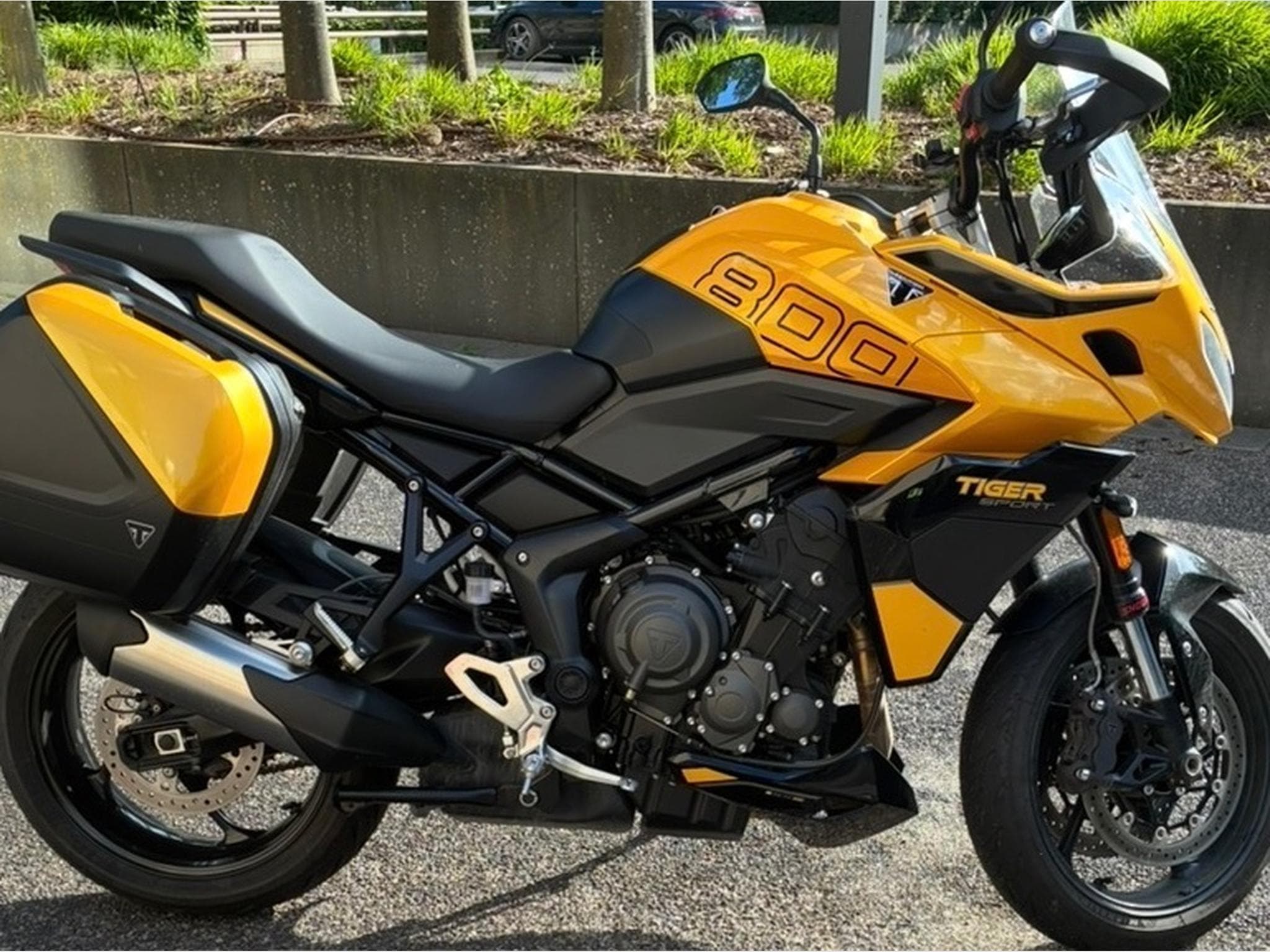 Triumph Tiger 800 sport (2025) - Photo 1