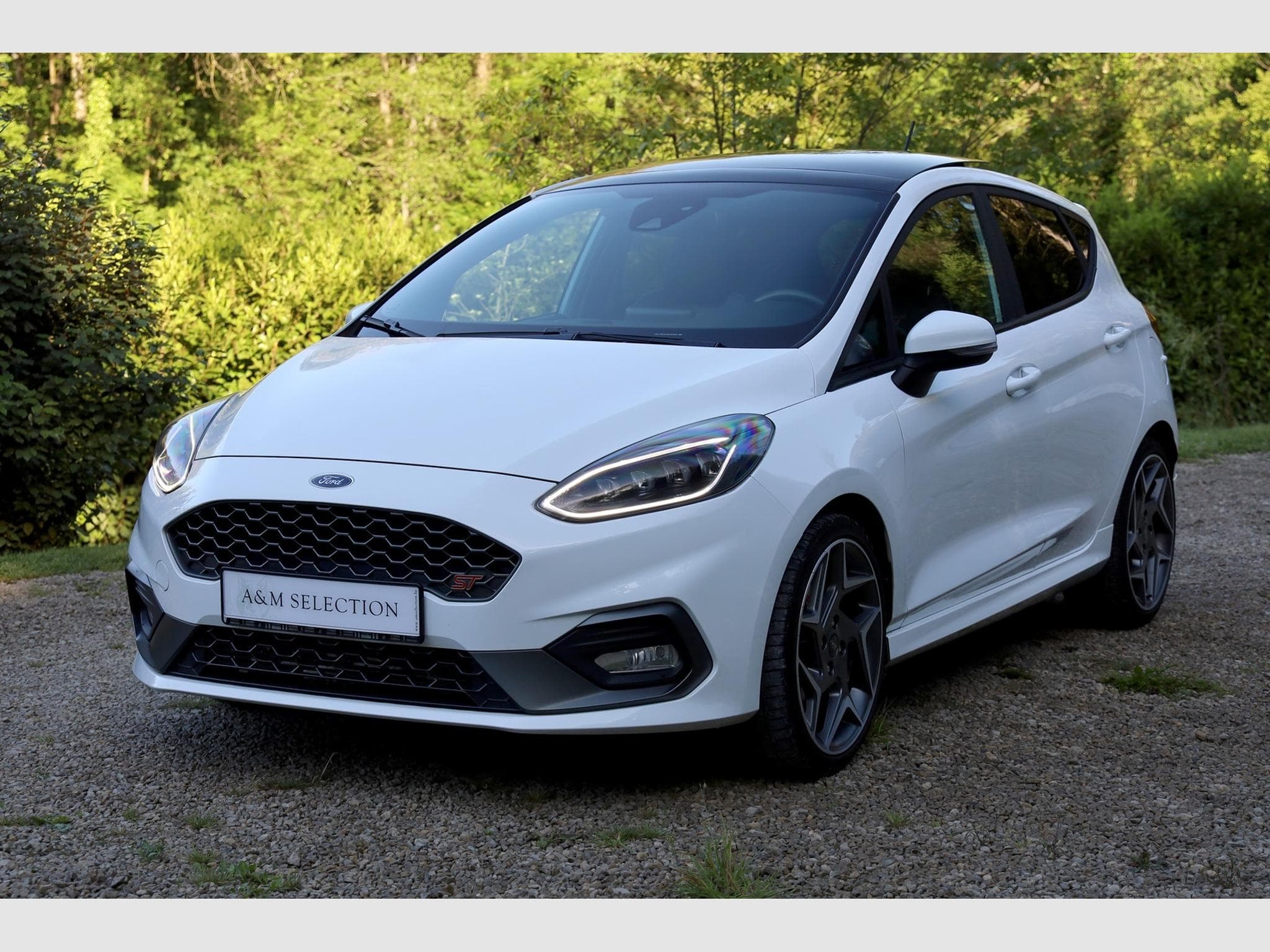 Ford Fiesta ST 200cv (2019) - Photo 5