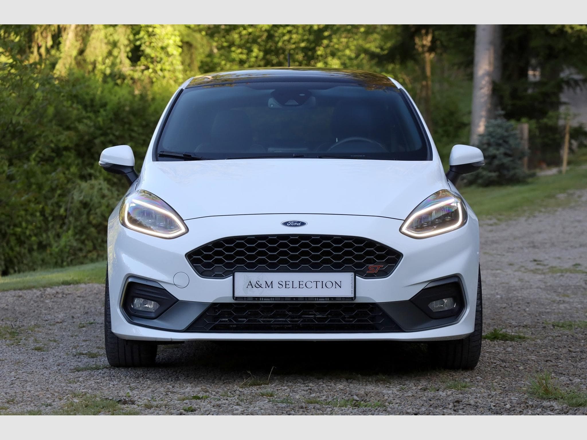 Ford Fiesta ST 200cv (2019) - Photo 3