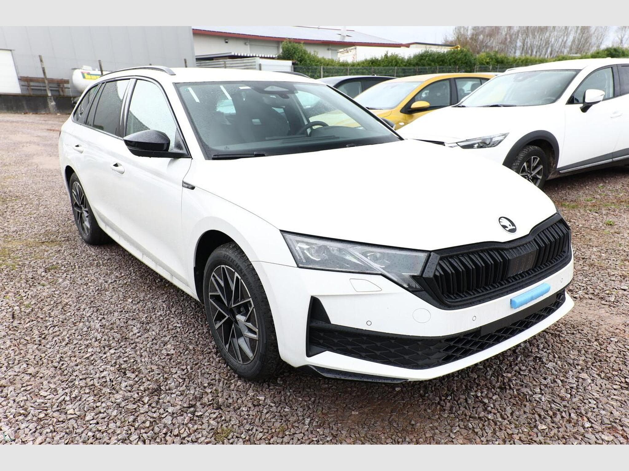 Skoda Octavia Sportline (2026) - Foto 2