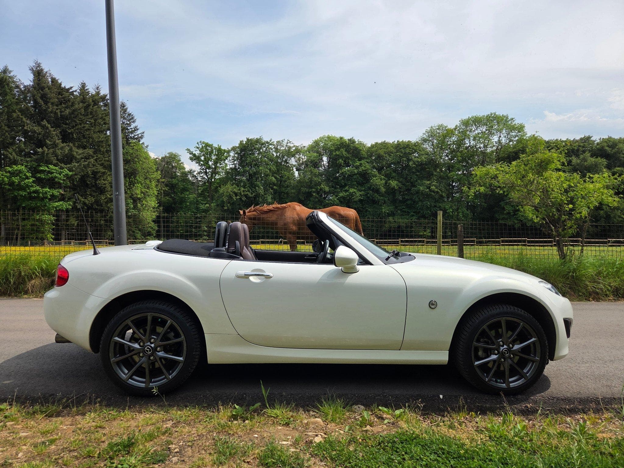 Mazda MX-5 III NC 1.8l Hamaki (2012) - Foto 4