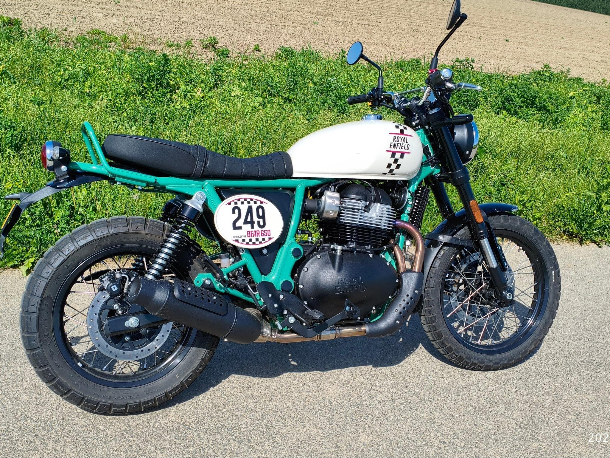 Royal Enfield Interceptor Bear 650  Edition 249 (2025) - Photo 1