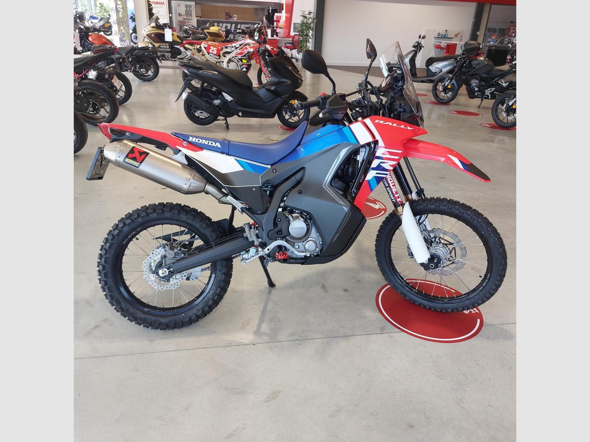 Honda CRF 300 Rally (2026) - Photo 1