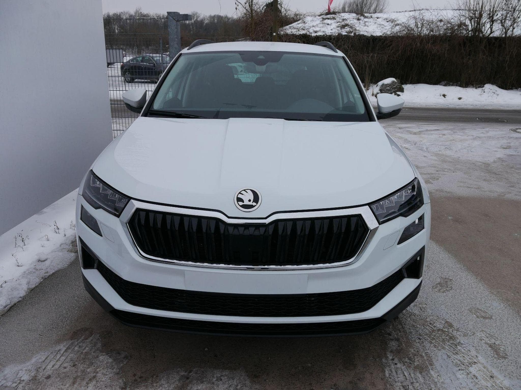 Skoda Karoq Selection 2.0 TDI DSG 4x4 (2026) - Photo 3