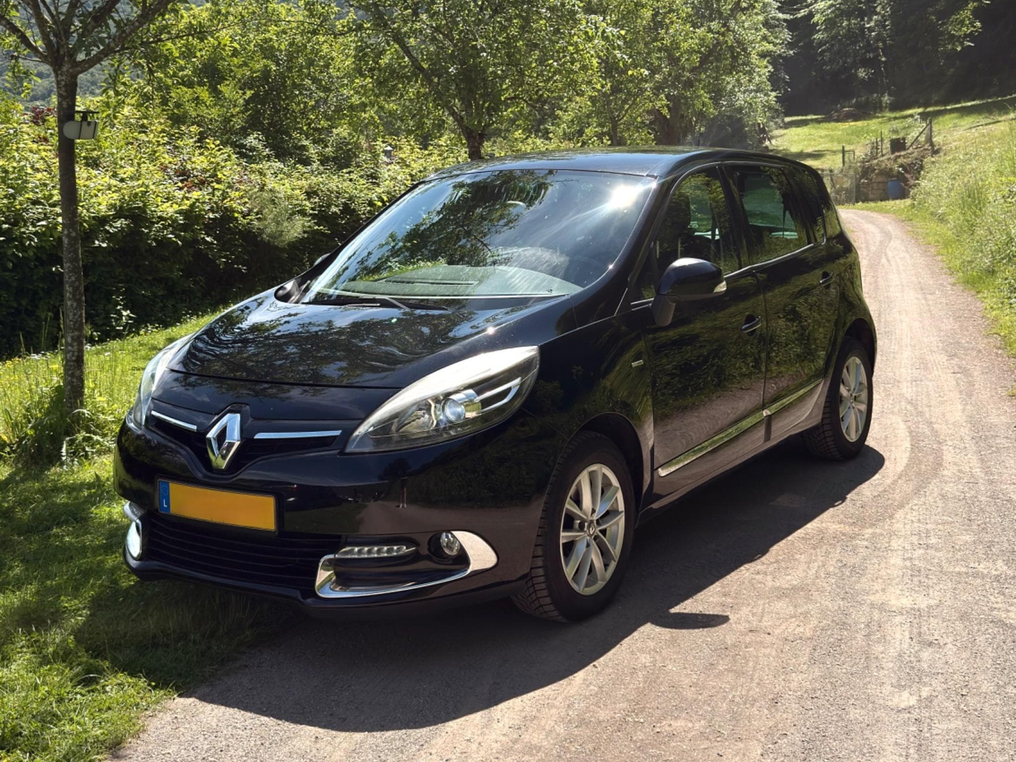 Renault Scenic Megane Scenic (2014) - Photo 1