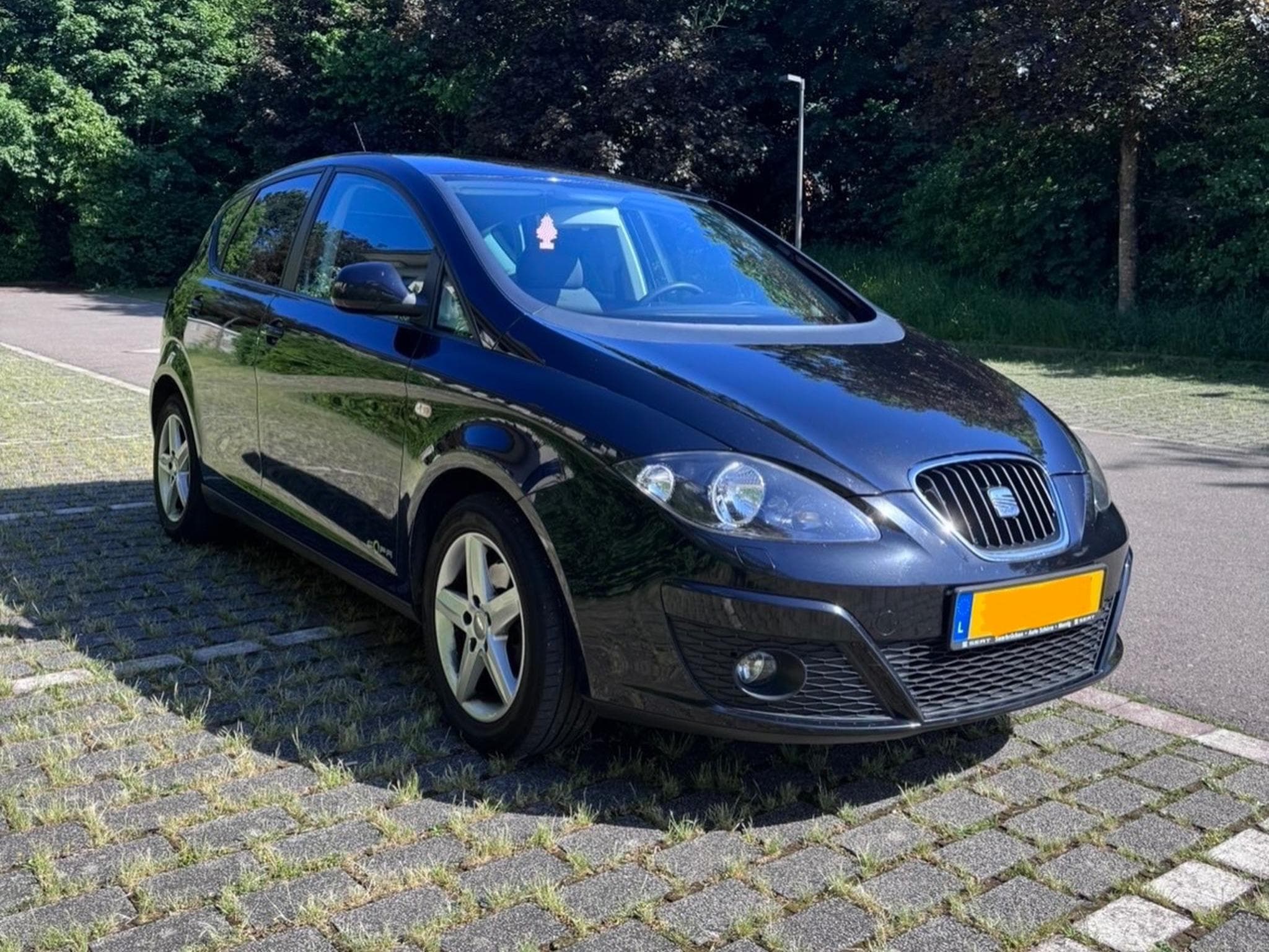 Seat Altea (2013) - Photo 1
